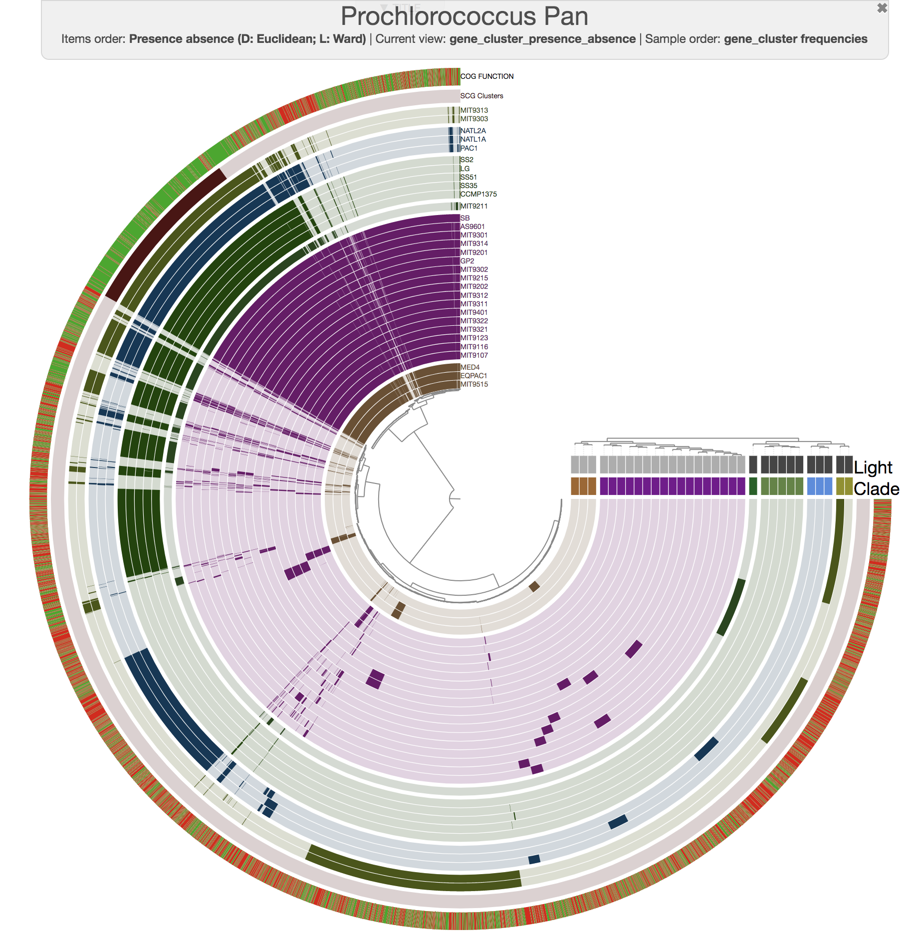 http://merenlab.org/images/anvio/2016-11-08-pan-genomics/prochlorococcus-pangenomics-final.png