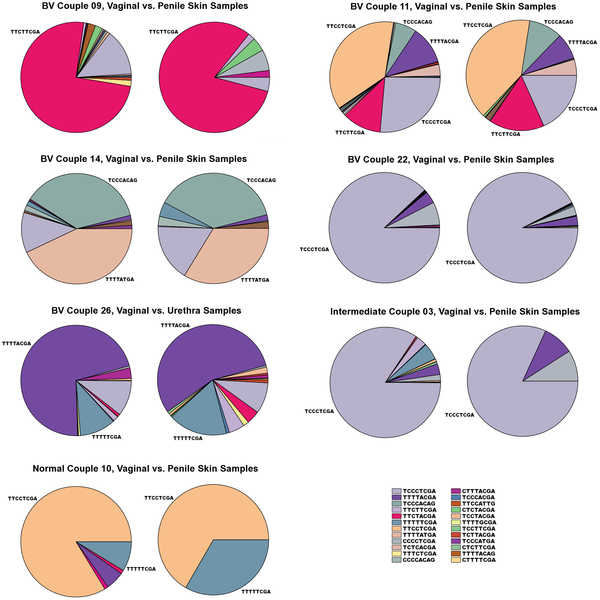 A Success Story: Gardnerella Vaginalis Profiles Among Sexual Partners