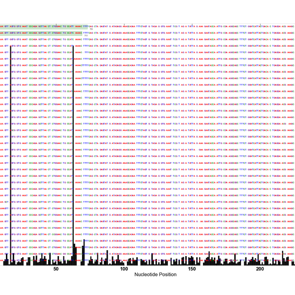 Oligotyping Pipeline Explained