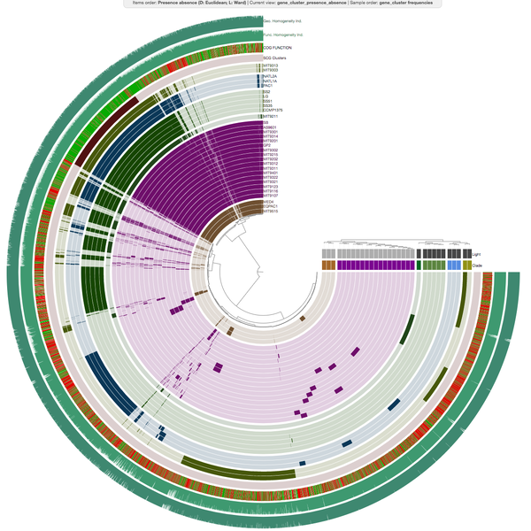 An anvi'o workflow for microbial pangenomics