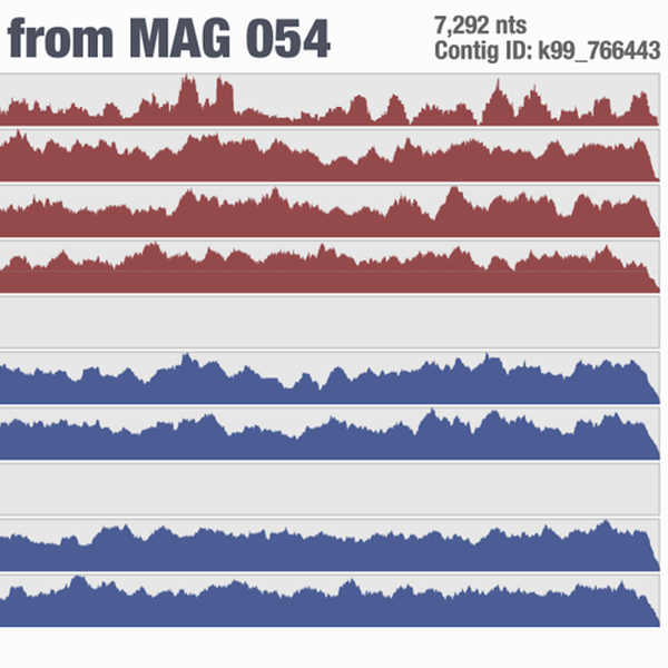 Wavy coverage patterns in mapping results