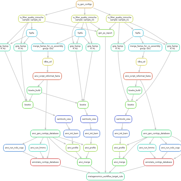 Anvi'o snakemake workflows