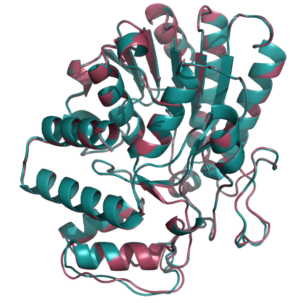Integrating sequence variants and predicted protein structures