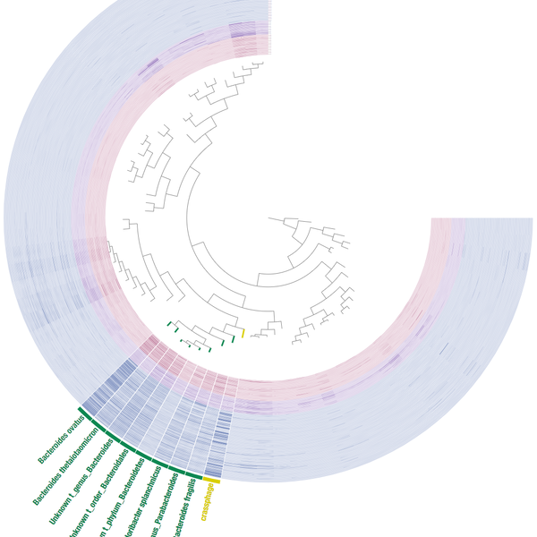 Microbial 'Omics Workshop