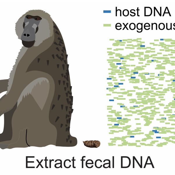 My unpopular two cents on the 'Face on a Turd'