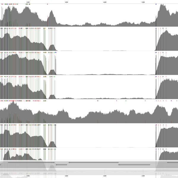 Visualizing contig coverages to better understand microbial population structures