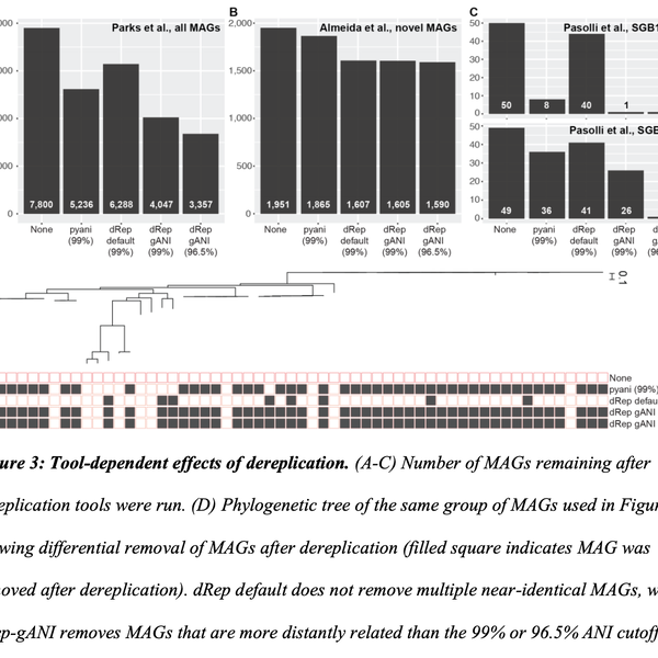 To dereplicate or not to dereplicate?