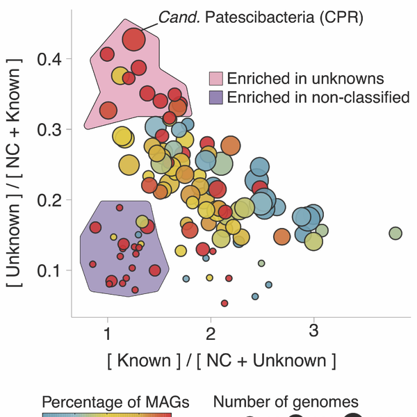 Welcome to the dark side of genomes and metagenomes