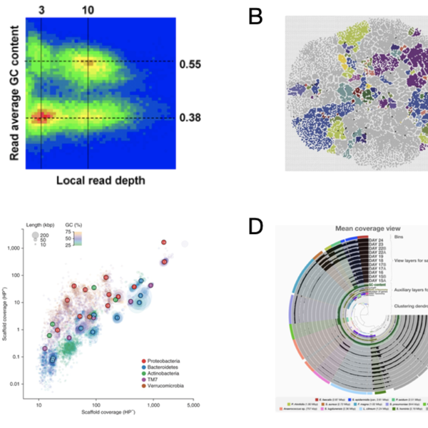 The history of metagenomics: An incomplete summary