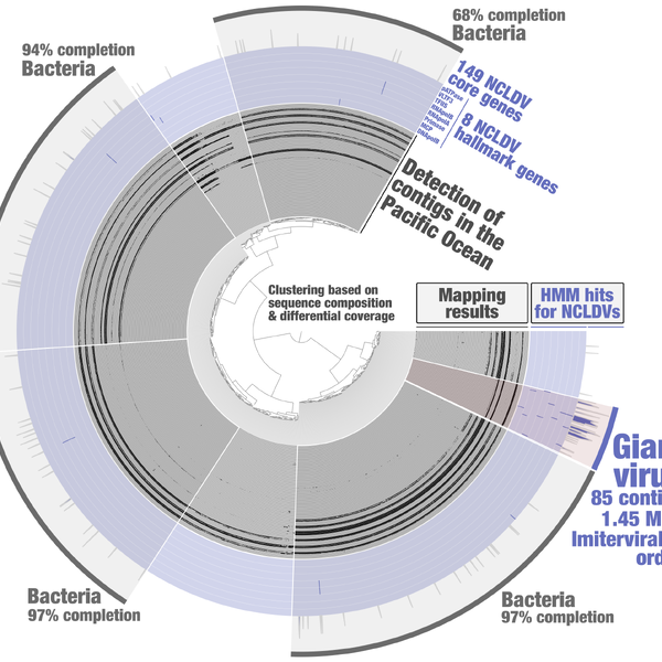 Binning giant viruses and their close relatives with anvi'o