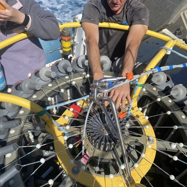 Research week at BIOS: Getting my hands wet with data