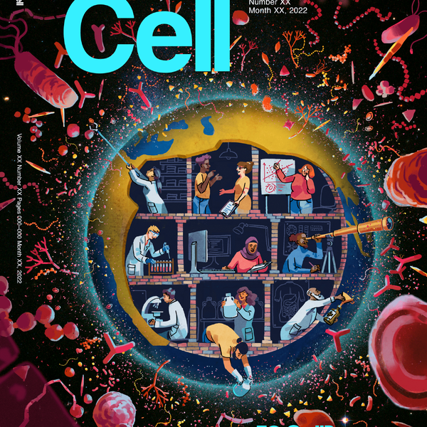 Evolution of a cover