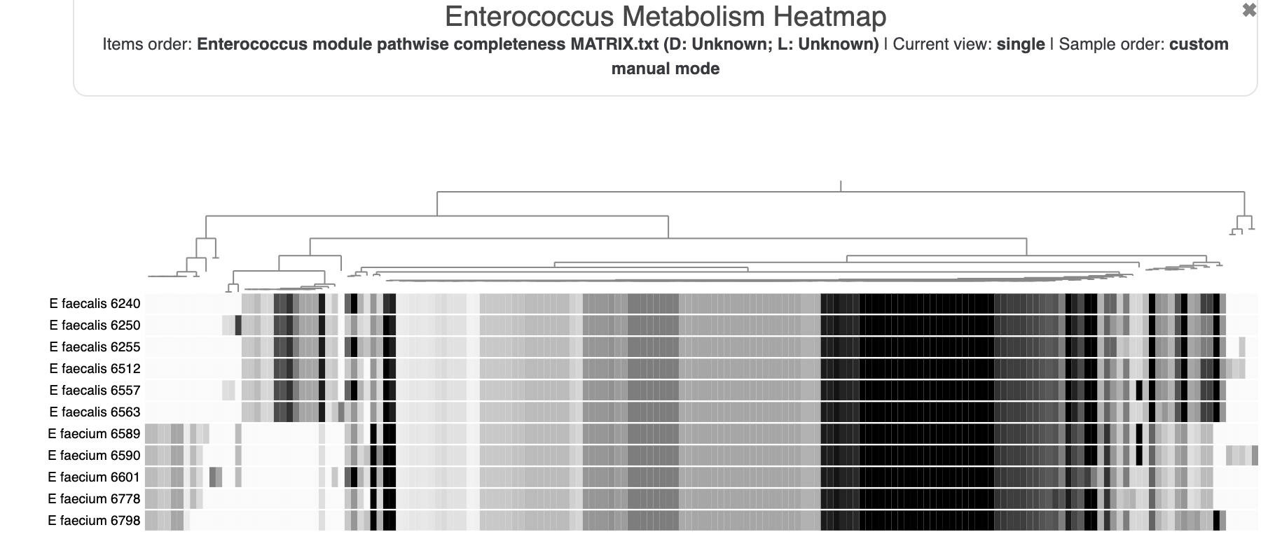 Enterococcus Heatmap